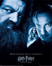 Poster Harry Potter The Prisoner Of Azkaban 40x50cm Pyramid MPP50820 | Posters.nl