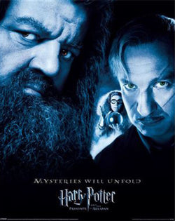 Poster Harry Potter The Prisoner Of Azkaban 40x50cm Pyramid MPP50820 | Posters.nl