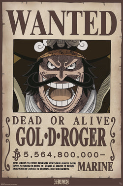 Poster One Piece Wanted Gol D Roger 61x91 5cm Abystyle GBYDCO595 | Posters.nl