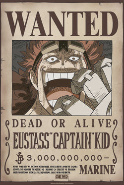 Poster One Piece Wanted Kid Wano 38x52cm GBYDCO638 | Posters.nl