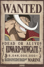 Poster One Piece Wanted Whitebeard 61x91 5cm GBYDCO596 | Posters.nl
