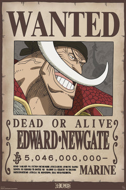 Poster One Piece Wanted Whitebeard 61x91 5cm GBYDCO596 | Posters.nl