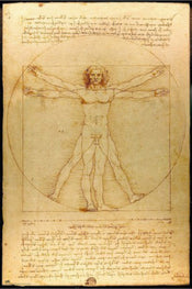 Poster Vitruvian Man 61x91 5cm Grupo Erik GPE5819 | Posters.nl