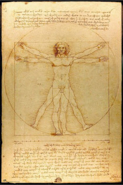 Poster Vitruvian Man 61x91 5cm Grupo Erik GPE5819 | Posters.nl