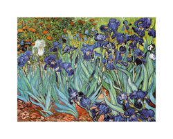 Vincent Van Gogh  Iris Kunstdruk 30x24cm | Posters.nl