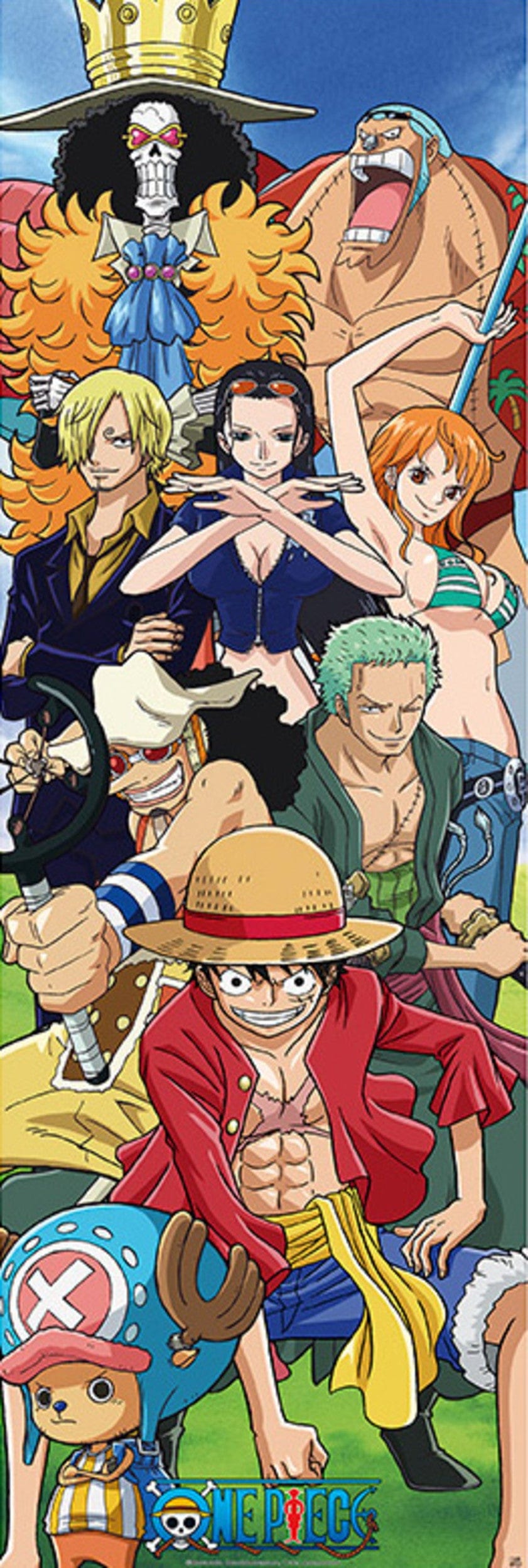 Abystyle Abydco451 One Piece Crew Poster 53x158cm | Posters.nl