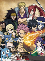 Fairy Tail Guild Poster 38X52cm | Posters.nl