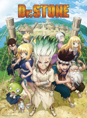 Dr Stone Group Poster 38X52cm | Posters.nl