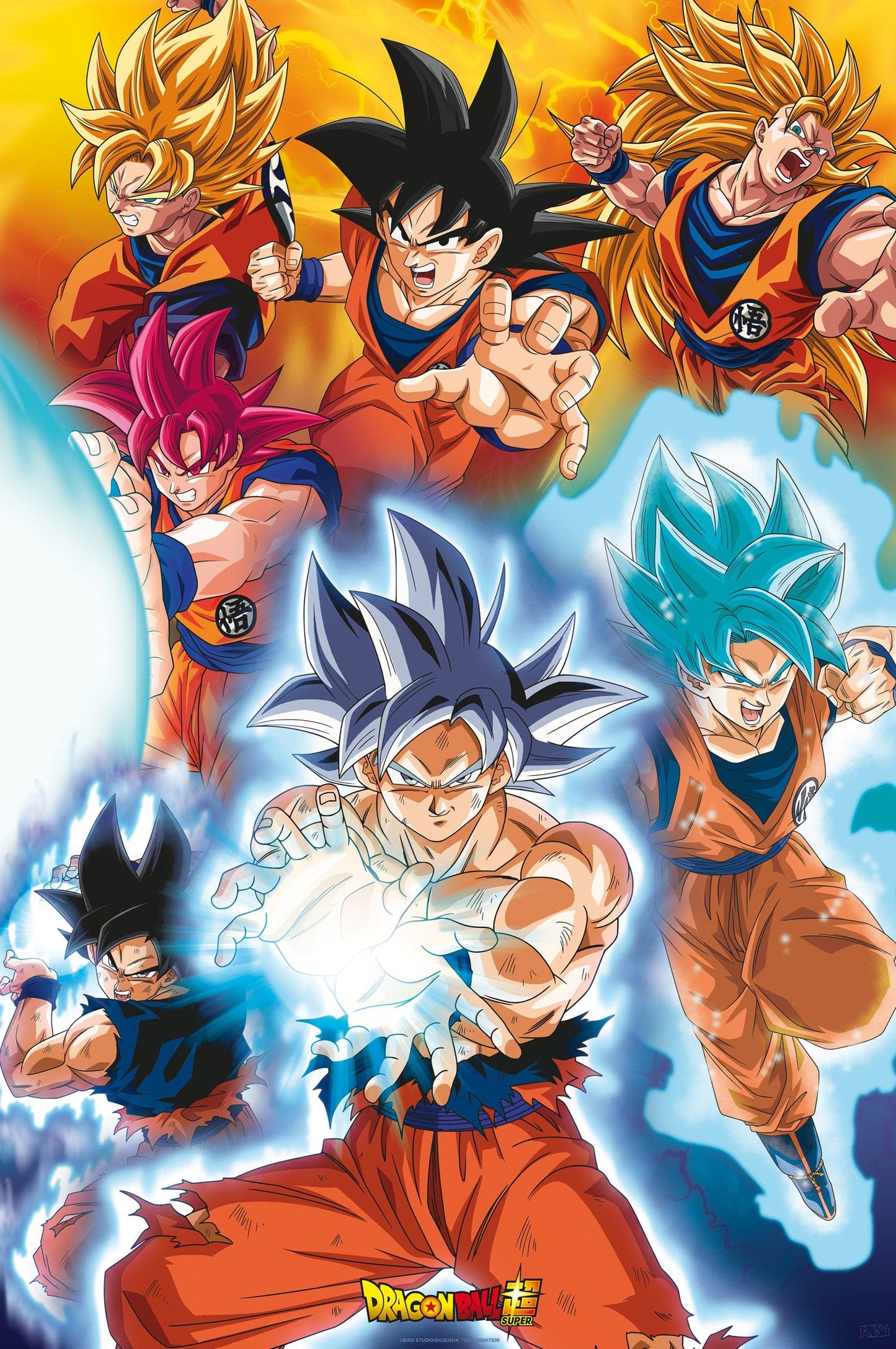 Dragon Ball Super Gokus Transformations Poster 61X91 5cm | Posters.nl