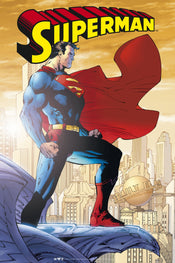 Dc Comics Superman Poster 61X91 5cm | Posters.nl