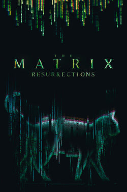 Abystyle Abydco864 The Matrix Cat Poster 61x91,5cm | Posters.nl