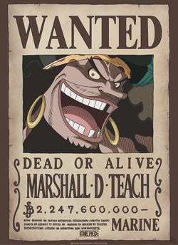 Abystyle Gbydco267 One Piece Wanted Blackbeard Poster 38x52cm | Posters.nl