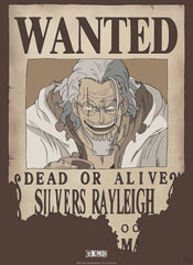Abystyle Gbydco268 One Piece Wanted Rayleigh Poster 38x52cm | Posters.nl