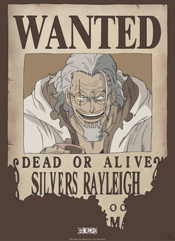 Abystyle Gbydco268 One Piece Wanted Rayleigh Poster 38x52cm | Posters.nl