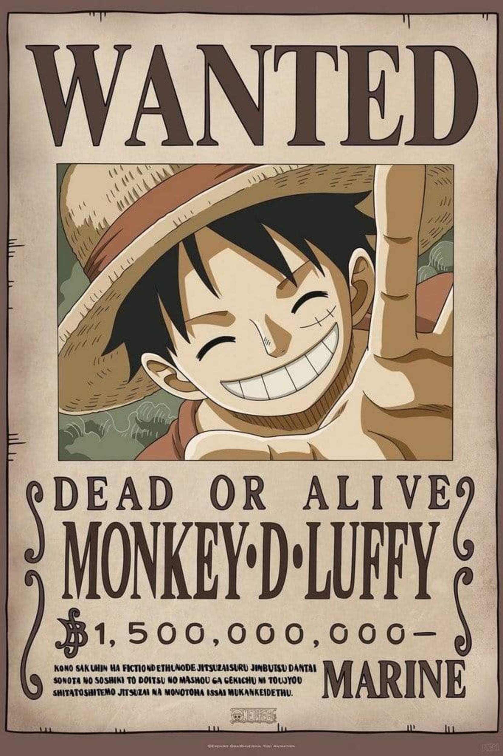 GBeye One Piece Poster 61x91.5cm | Posters.nl