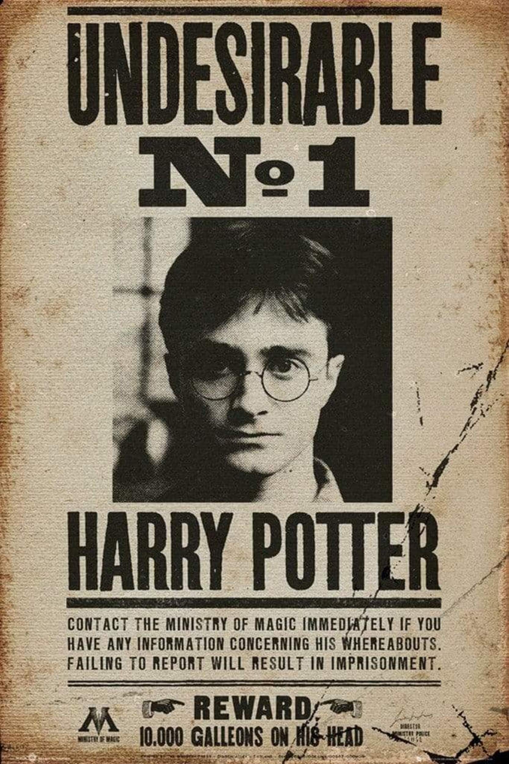 GBeye Harry Potter Undesirable No 1 Poster 61x91,5cm | Posters.nl