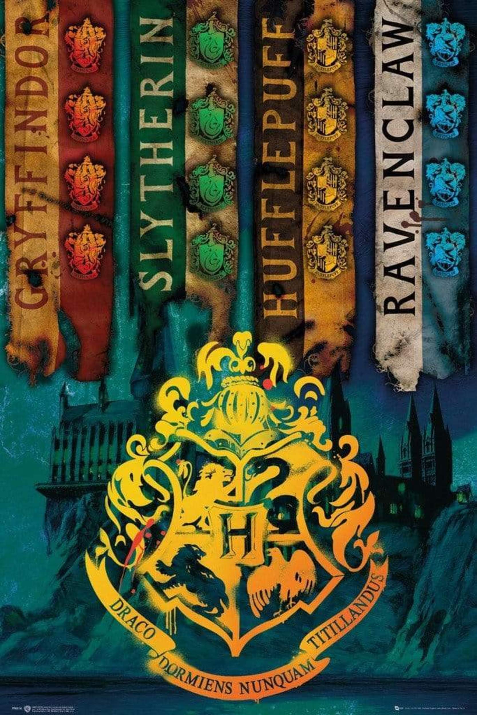 GBeye Harry Potter House Flags Poster 61x91,5cm | Posters.nl