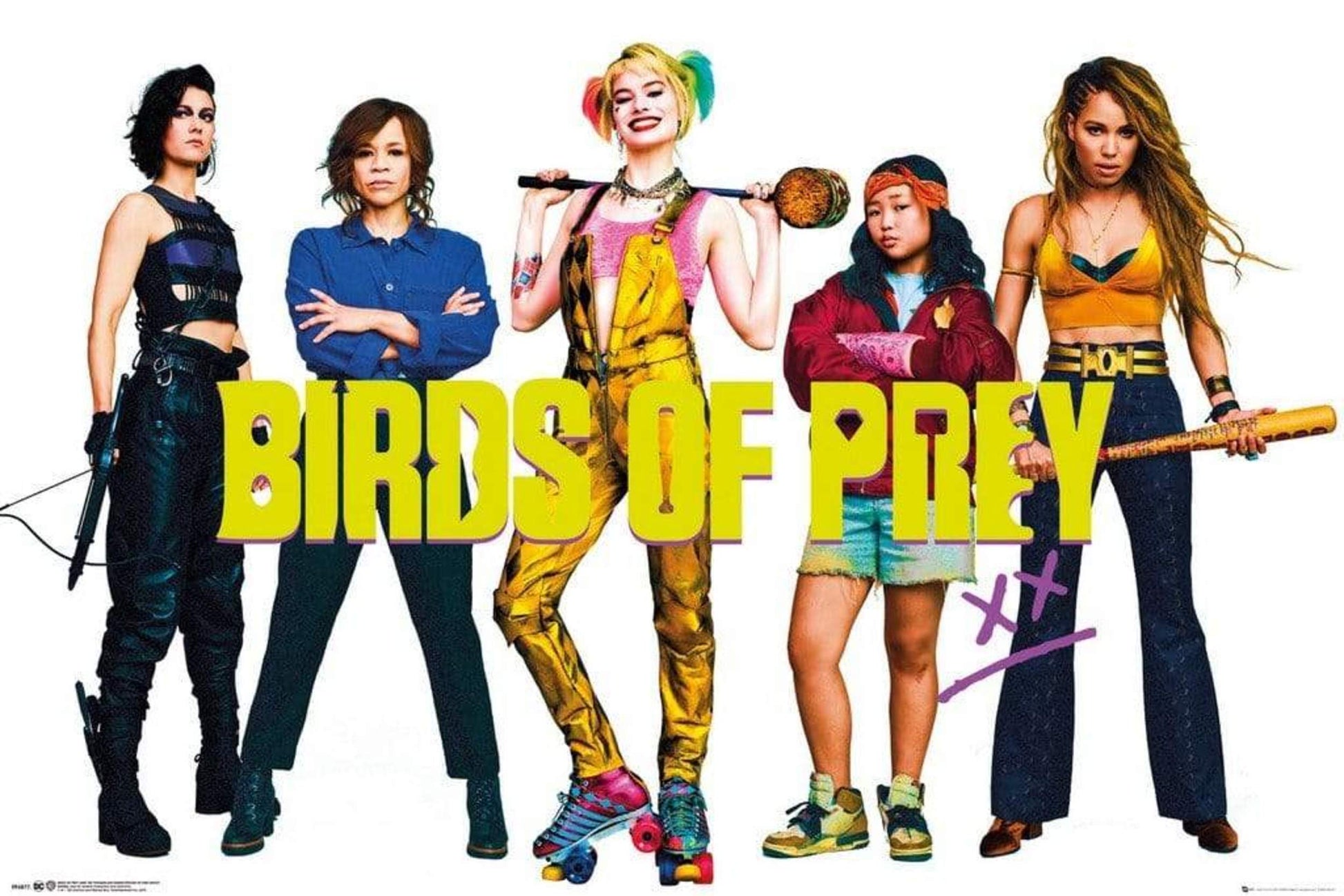 GBeye Birds of Prey Group Poster 91,5x61cm | Posters.nl