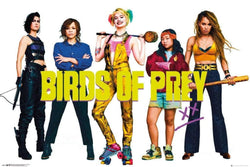 GBeye Birds of Prey Group Poster 91,5x61cm | Posters.nl