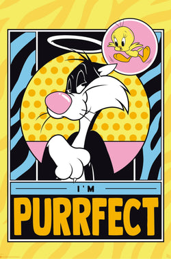 gbeye gbydco143 looney tunes tweety and sylveste poster 61x91 5cm | Posters.nl