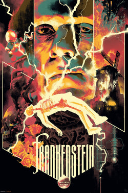 gbeye gbydco192 universal monsters frankenstein poster 61x91 5cm | Posters.nl