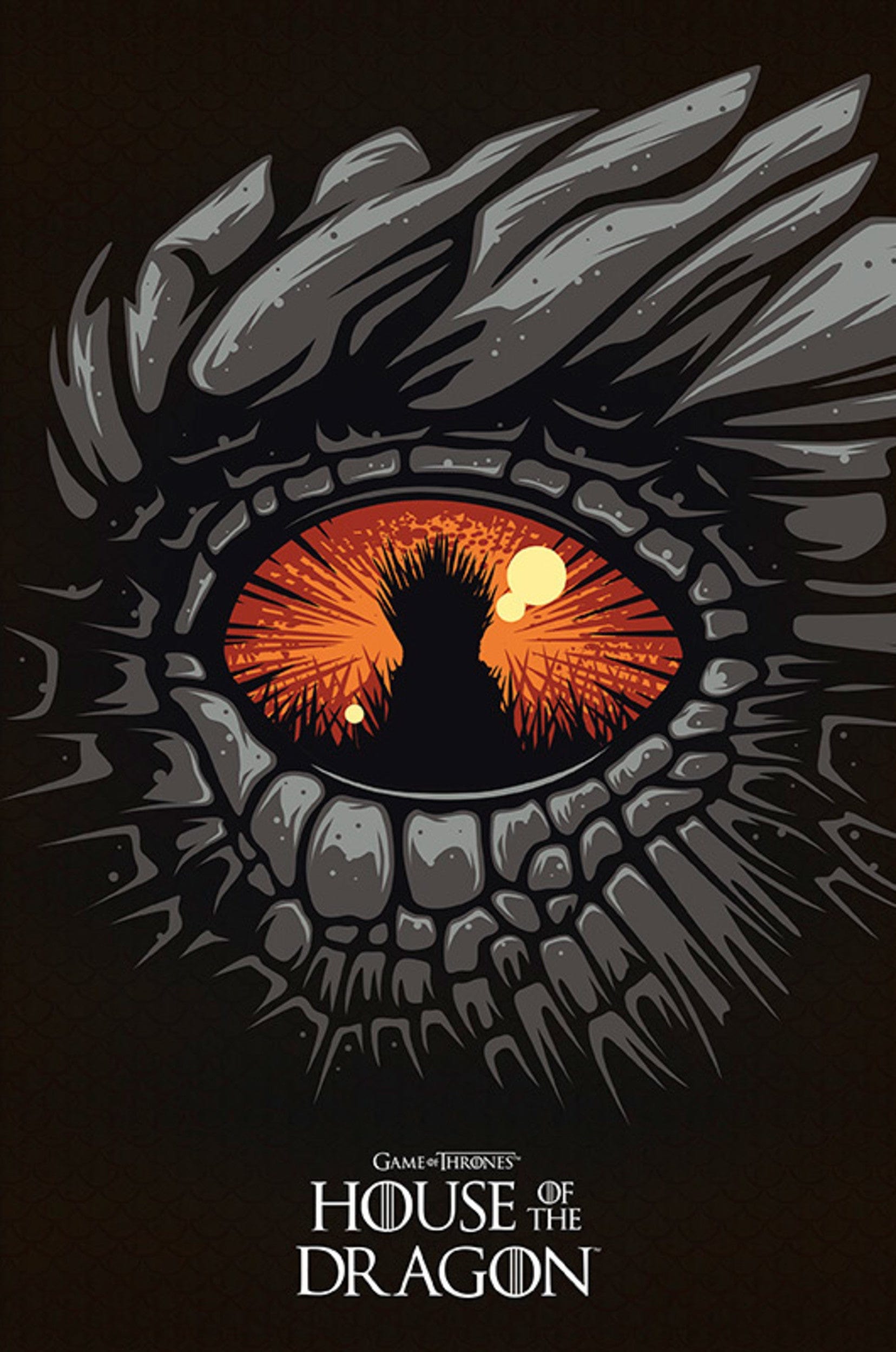 Gbeye GBYDCO207 House Of The Dragon 61x 91-5cm | Posters.nl