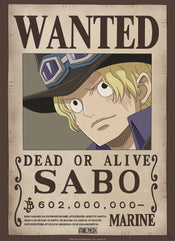 Gbeye Gbydco260 One Piece Wanted Poster 38x52cm | Posters.nl