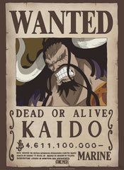 gbeye gbydco265 one piece wanted kaido poster 38x52cm | Posters.nl