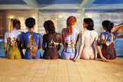 GBeye Pink Floyd Back Catalogue Poster 91,5x61cm | Posters.nl