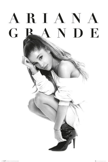 Muziek Posters