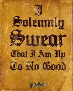 GBeye Harry Potter I Solemnly Swear Poster 40x50cm | Posters.nl