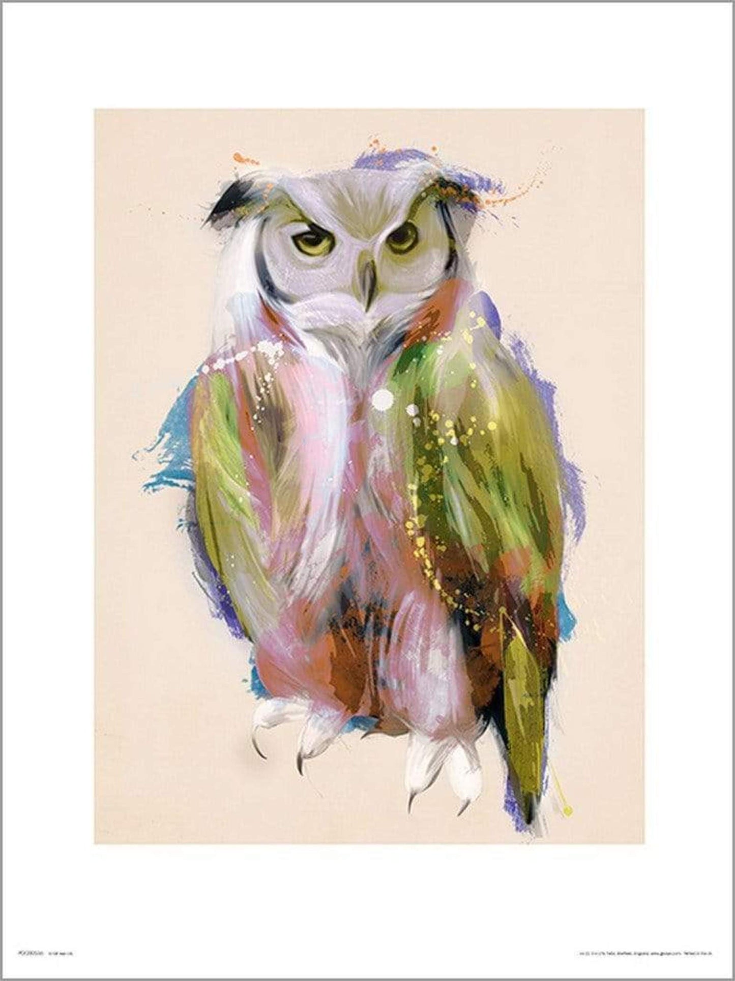 GBeye Owl Paint Kunstdruk | Posters.nl