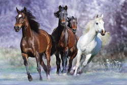 GBeye Bob Langrish Running Poster 91,5x61cm | Posters.nl