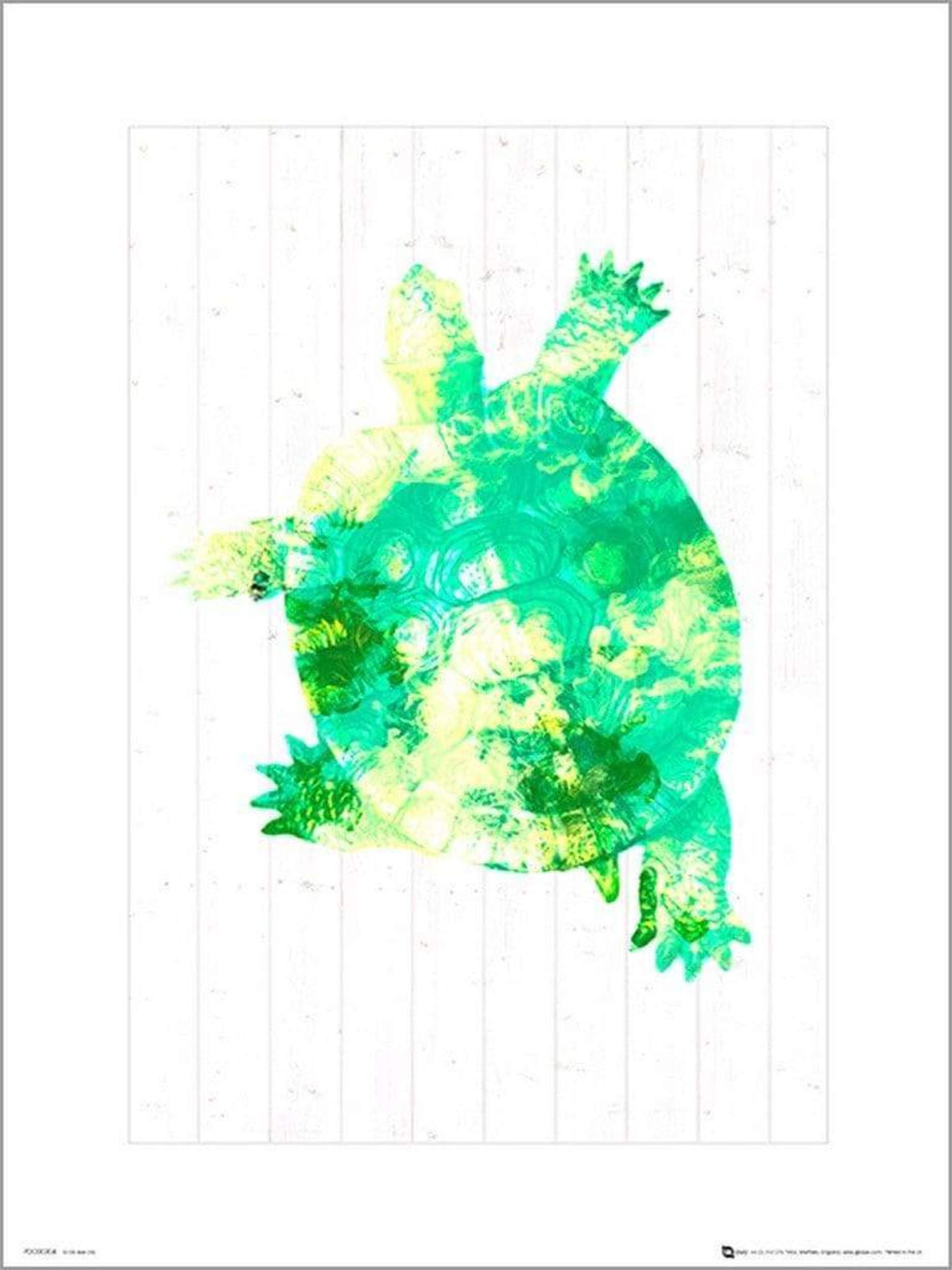 GBeye Seaside Turtle Green
 Kunstdruk | Posters.nl