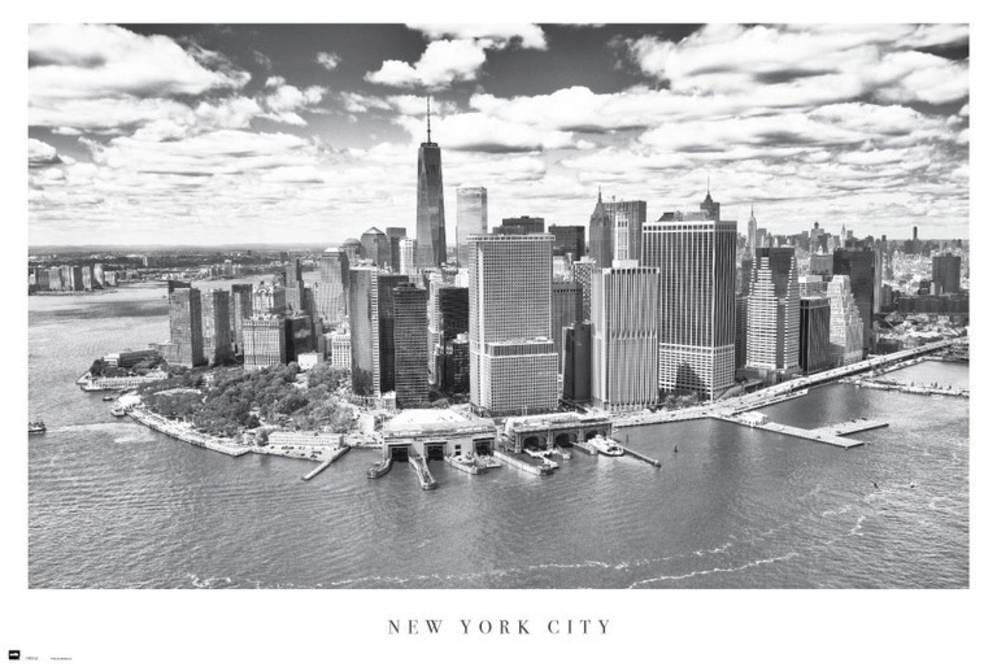 Grupo Erik GPE5025 New York City Airview Poster 91,5X61cm | Posters.nl