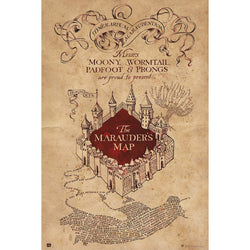 Grupo Erik GPE5159 Harry Potter The Marauders Map Poster 61X91,5cm | Posters.nl