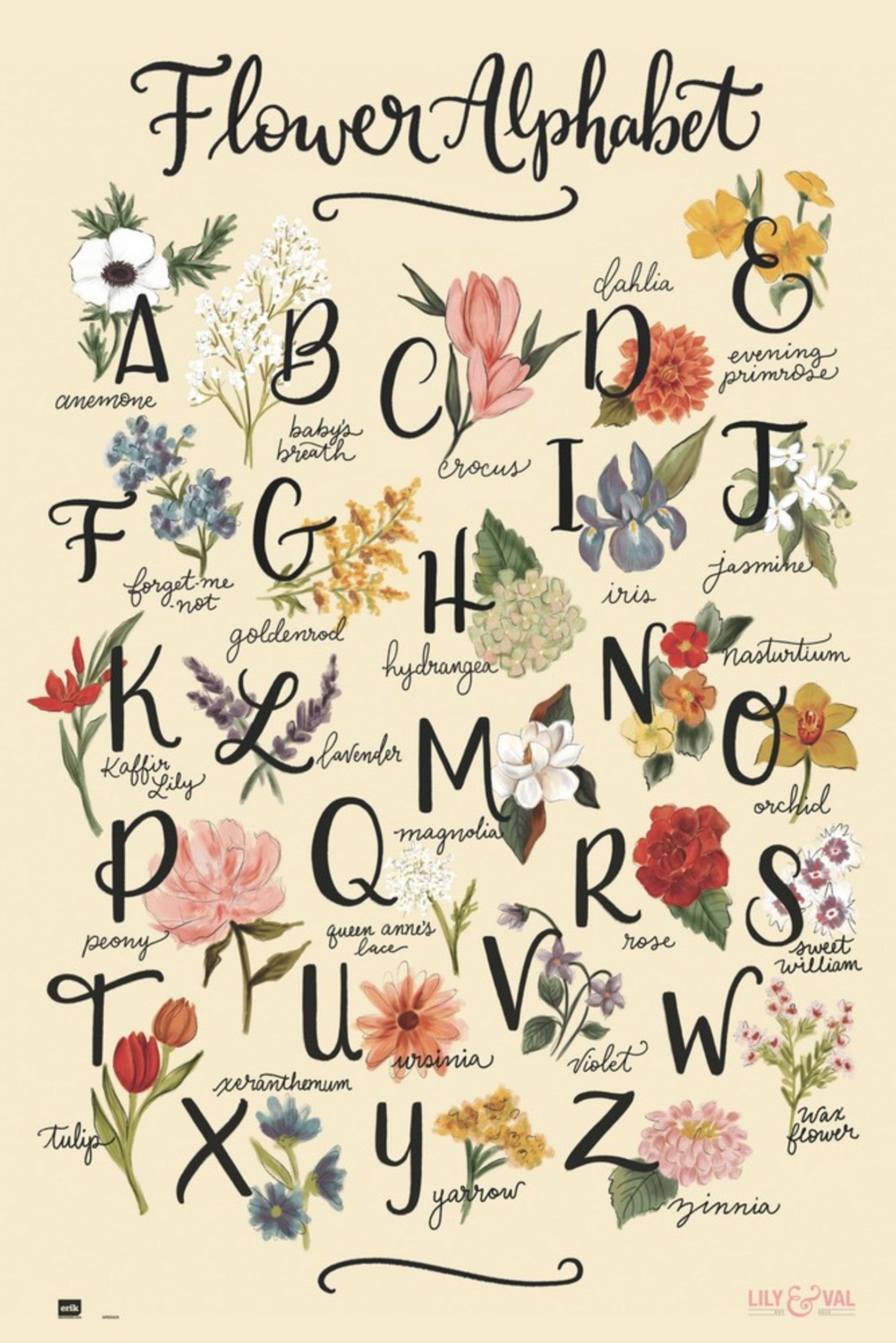 Grupo Erik GPE5323 Lily And Val Flowers Alphabet Poster 61X91,5cm | Posters.nl