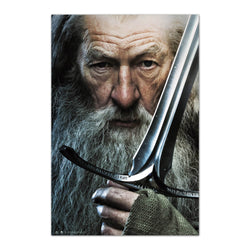Grupo Erik Gpe5639 The Hobbit Gandalf Poster 61X91 5cm | Posters.nl