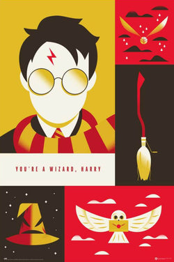 grupo erik gpe5744 harry potter 100th anniversary wb poster 61x91 5cm | Posters.nl