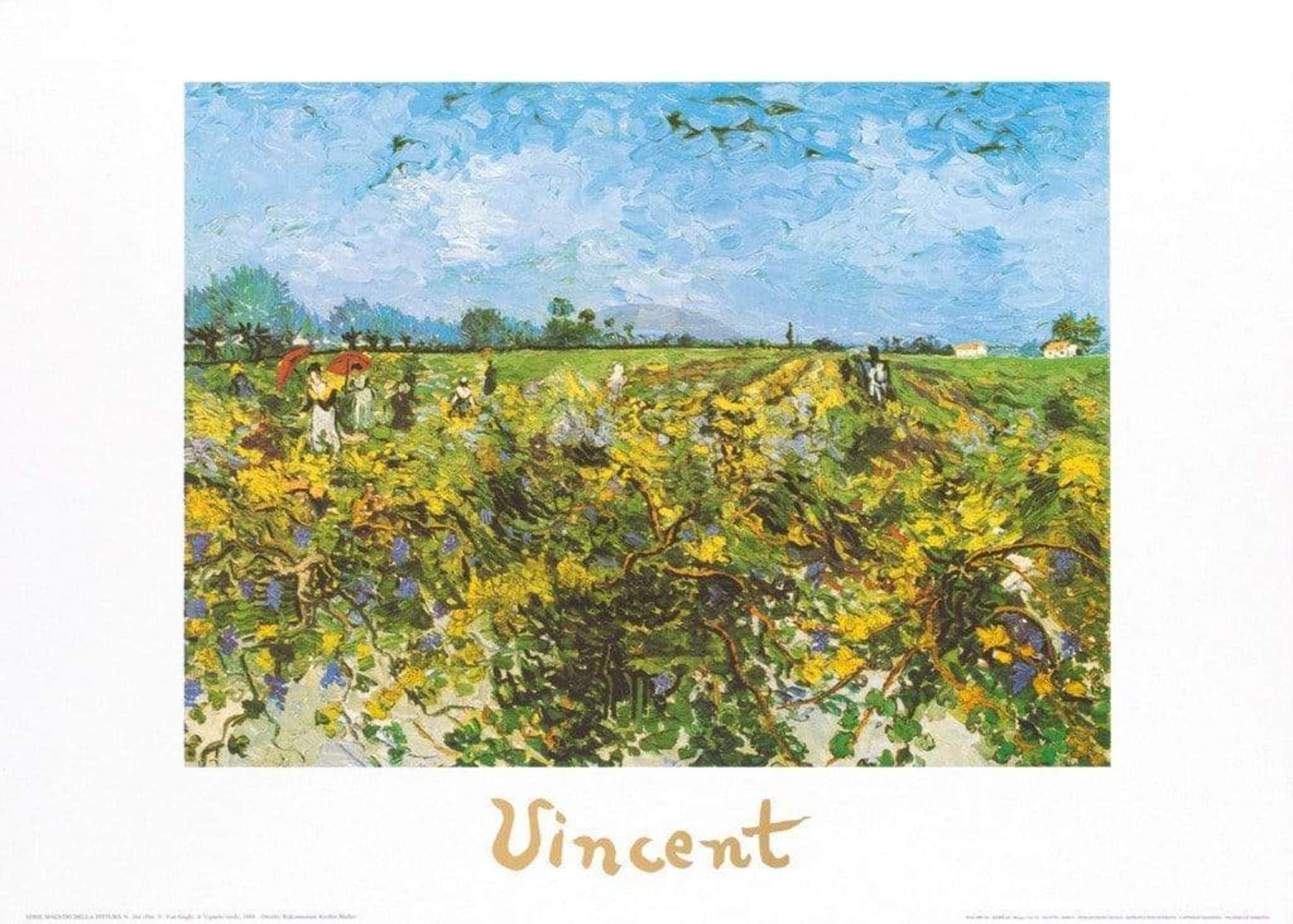 Vincent Van Gogh  The Green Vineyard Kunstdruk 70x50cm | Posters.nl