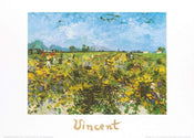 Vincent Van Gogh  The Green Vineyard Kunstdruk 70x50cm | Posters.nl