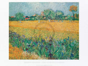 Vincent Van Gogh  Vista di Arles Con Irises Kunstdruk 80x60cm | Posters.nl