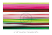 Andreas Feil  Fotografie II Kunstdruk 138x95cm | Posters.nl