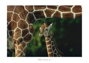 Cioli  When I grow up Kunstdruk 70x50cm | Posters.nl