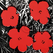 pgm aw 66 andy warhol flowers red 1964 kunstdruk 91x91cm | Posters.nl