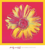 Andy Warhol  Daisy 1982 Kunstdruk 90x90cm | Posters.nl