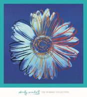 Andy Warhol  Daisy 1982 Kunstdruk 90x90cm | Posters.nl