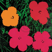 Andy Warhol  Flowers C. 1964 Kunstdruk 60x60cm | Posters.nl