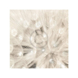 Adam Brock  On the Breeze Kunstdruk 51x51cm | Posters.nl