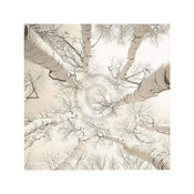 Adam Brock  Silver Birch Kunstdruk 51x51cm | Posters.nl